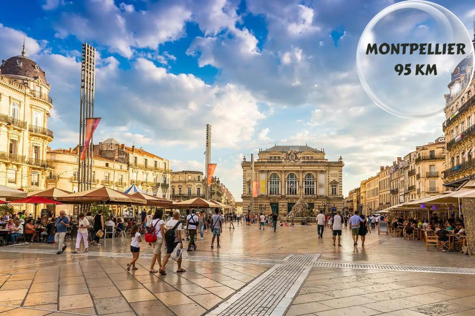 Le Cosy Du Gal, A 2 Pas Du Palais Des Papes Parking Gratuit Securise Lejlighed Avignon Eksteriør billede