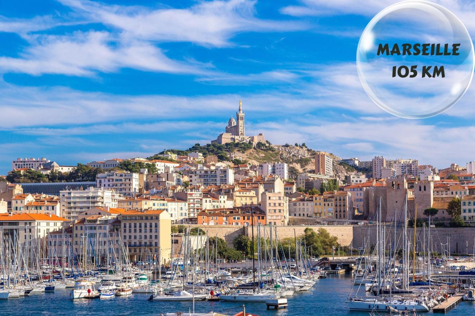 Le Cosy Du Gal, A 2 Pas Du Palais Des Papes Parking Gratuit Securise Lejlighed Avignon Eksteriør billede