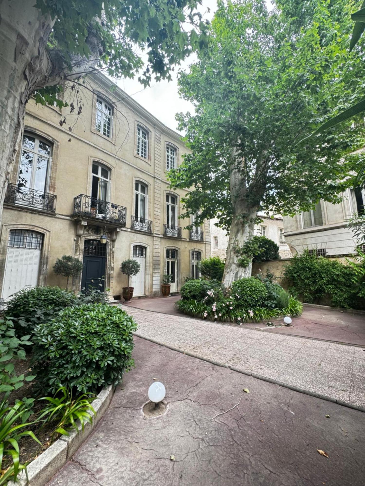 Le Cosy Du Gal, A 2 Pas Du Palais Des Papes Parking Gratuit Securise Lejlighed Avignon Eksteriør billede