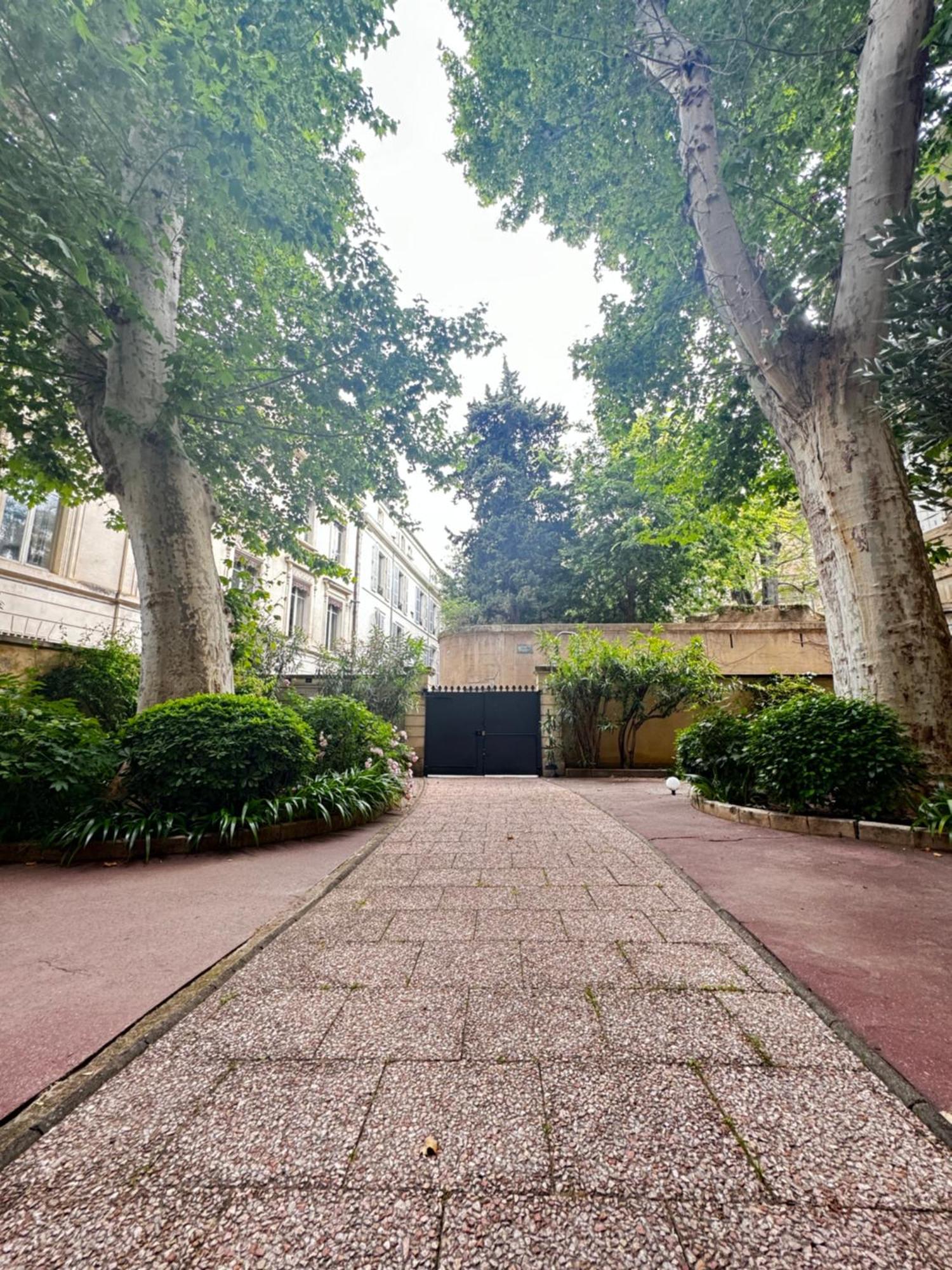 Le Cosy Du Gal, A 2 Pas Du Palais Des Papes Parking Gratuit Securise Lejlighed Avignon Eksteriør billede