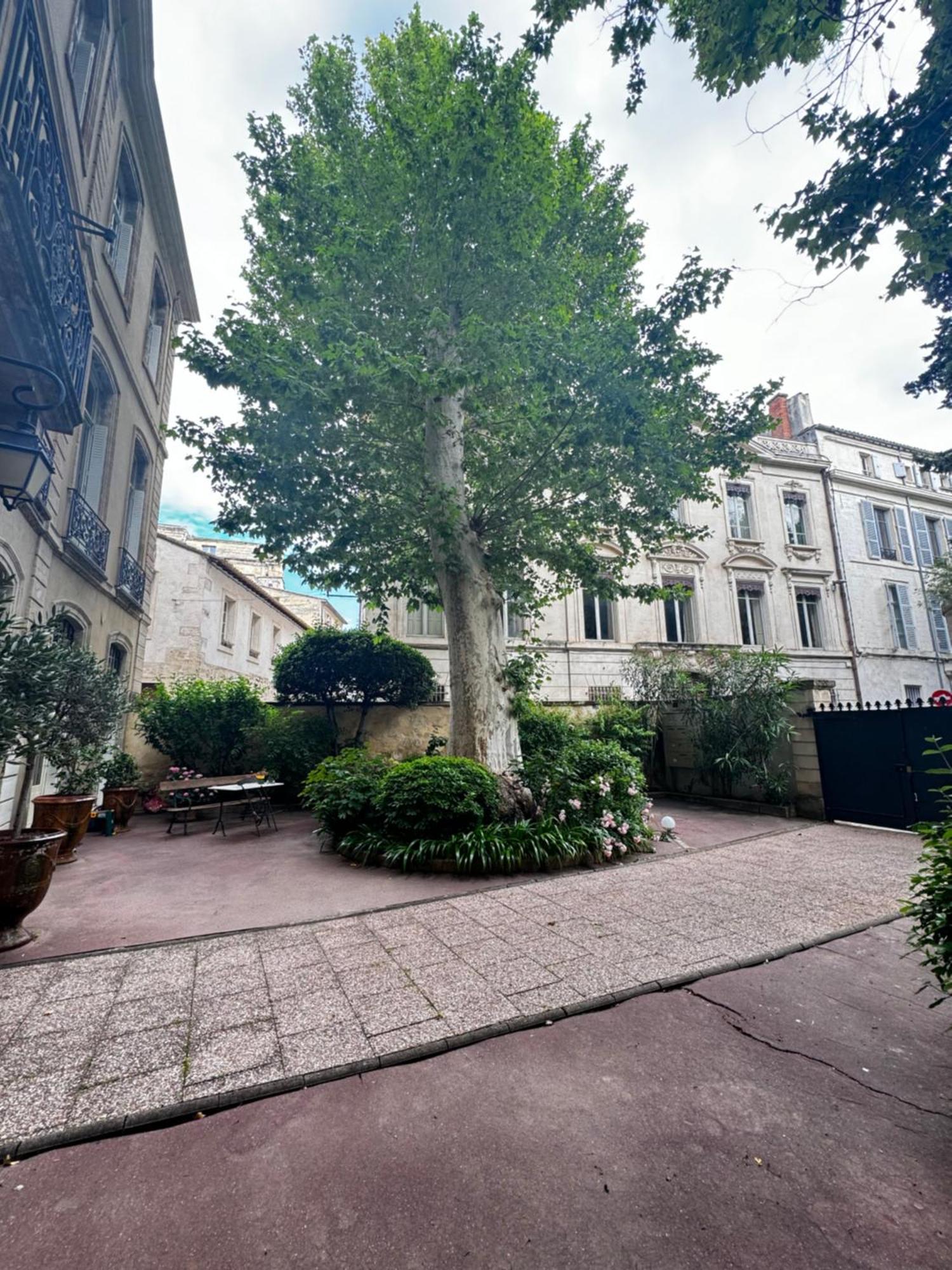 Le Cosy Du Gal, A 2 Pas Du Palais Des Papes Parking Gratuit Securise Lejlighed Avignon Eksteriør billede